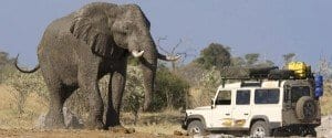 Botswana: safari e comfort