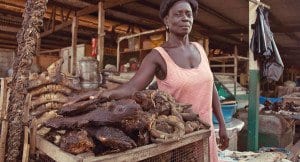 consumo di carne di animali selvatici in Africa