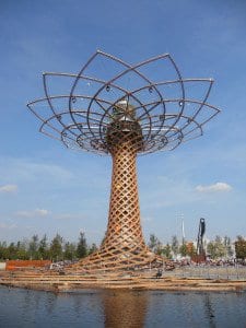 expo, albero della vita