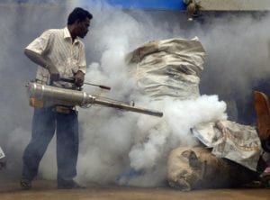 disinfestazione 