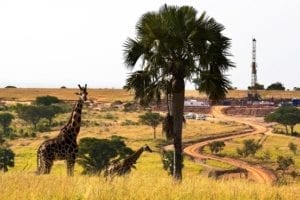 petrolio in uganda