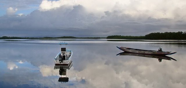 Diario senegalese/3 – Brousse e foresta, le due anime del Senegal