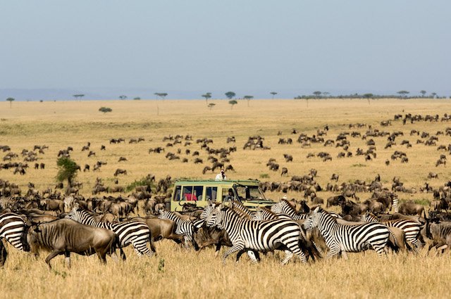 Tanzania, safari e mare