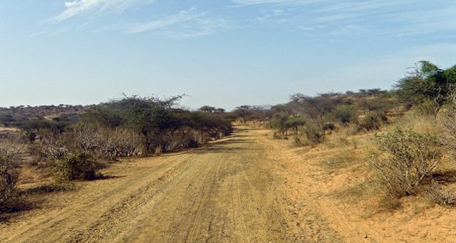 Diario senegalese/3 – Brousse e foresta, le due anime del Senegal