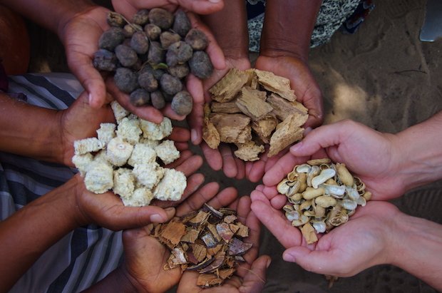 Il fornello italiano che aiuta l’Africa 