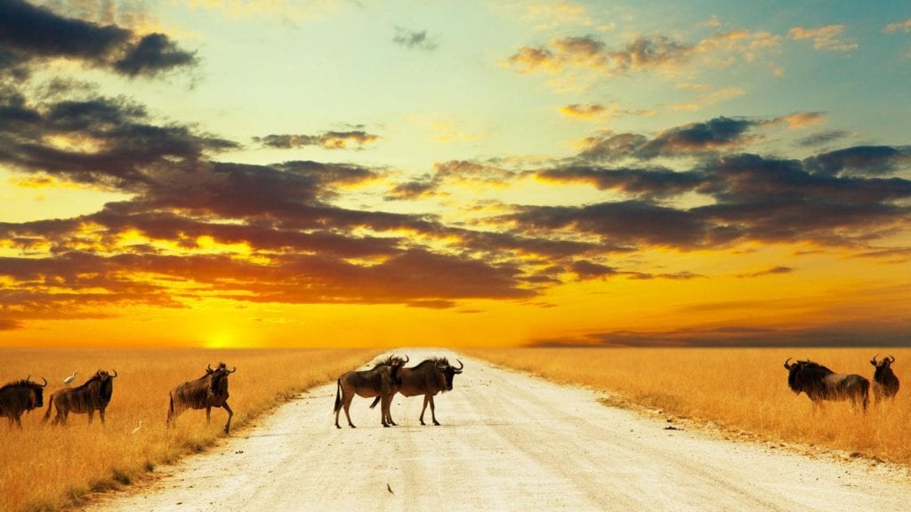 Ecoturismo in Africa Meridionale