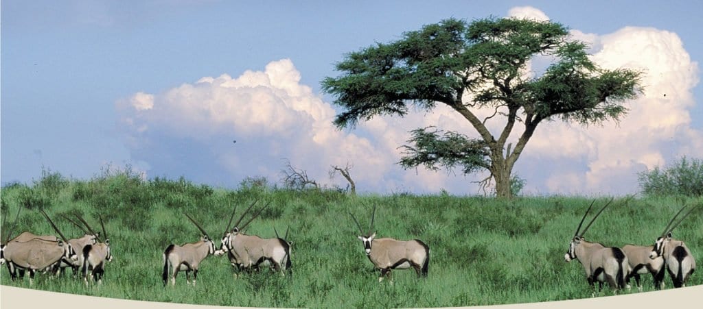 Ecoturismo in Africa Meridionale