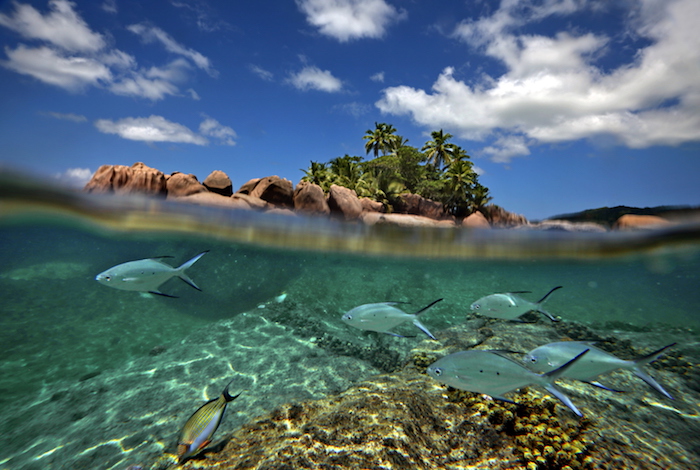 Seychelles: paradiso naturale
