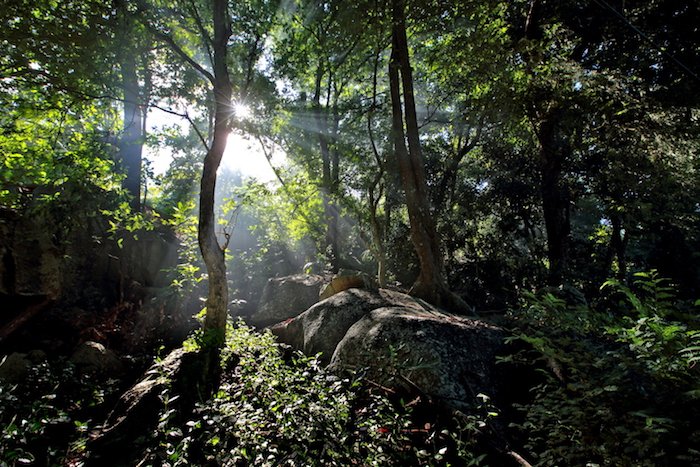 Seychelles: paradiso naturale