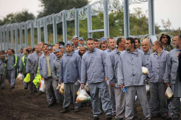 detenuti ungheresi