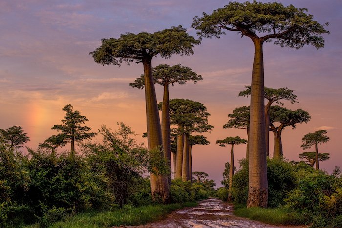Madagascar: elogio della lentezza