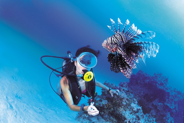 Tanzania: sull’isola di Mafia