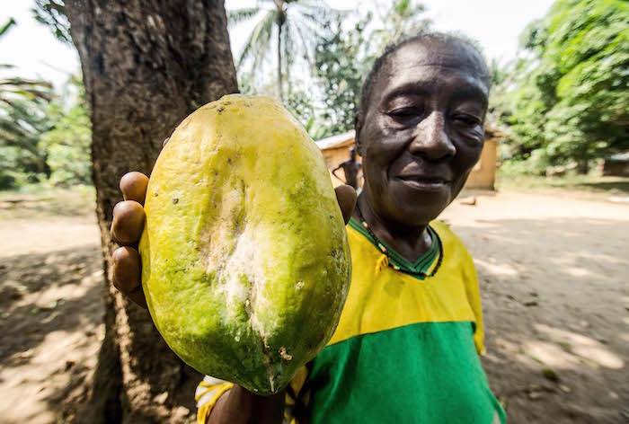 Sierra Leone: trasformare la frutta per ricostruire un Paese