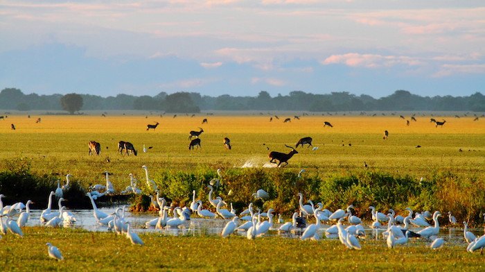 Zambia: charme coloniale