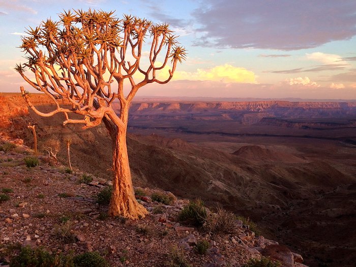 Namibia: trekking nel canyon