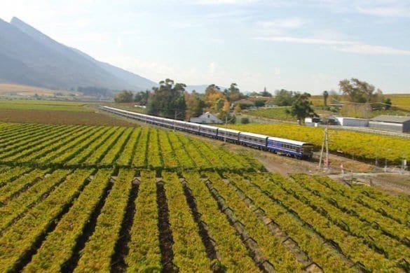 Sudafrica: emozioni in carrozza