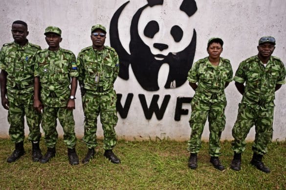 Anti-poaching patrol at the WWF-Gabon office