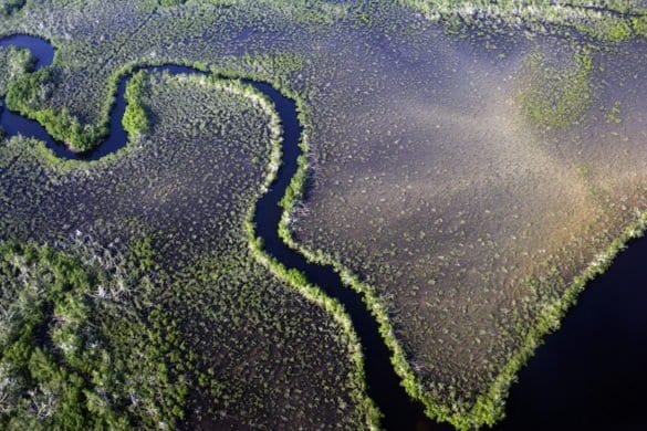 Gabon – The lost Eden