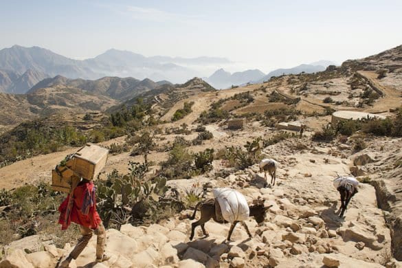 _DSC9052 come oggetto avanzato-1