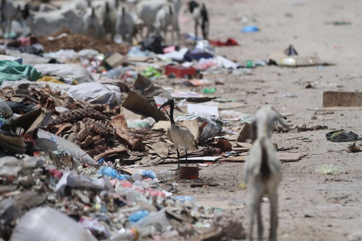 sacchetti di plastica