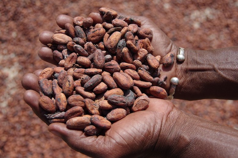 Costa d’Avorio: la fabbrica del cioccolato