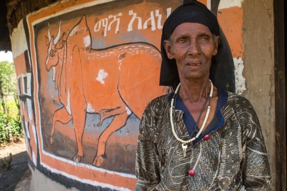 Etiopia: le colorate case degli Halaba Etiopia: le colorate case degli Halaba