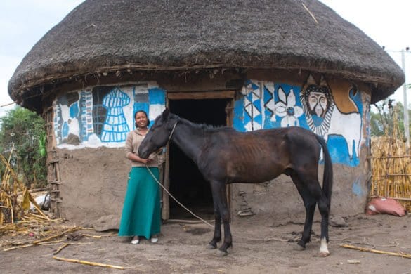 Etiopia: le colorate case degli Halaba Etiopia: le colorate case degli Halaba