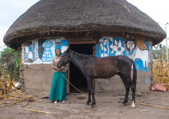 Etiopia: le colorate case degli Halaba | Rivista Africa