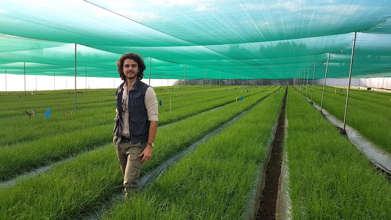 Kenya: erbe officinali da Nakuru al mondo