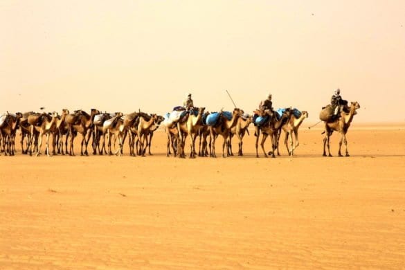 Sahara viaggiatori