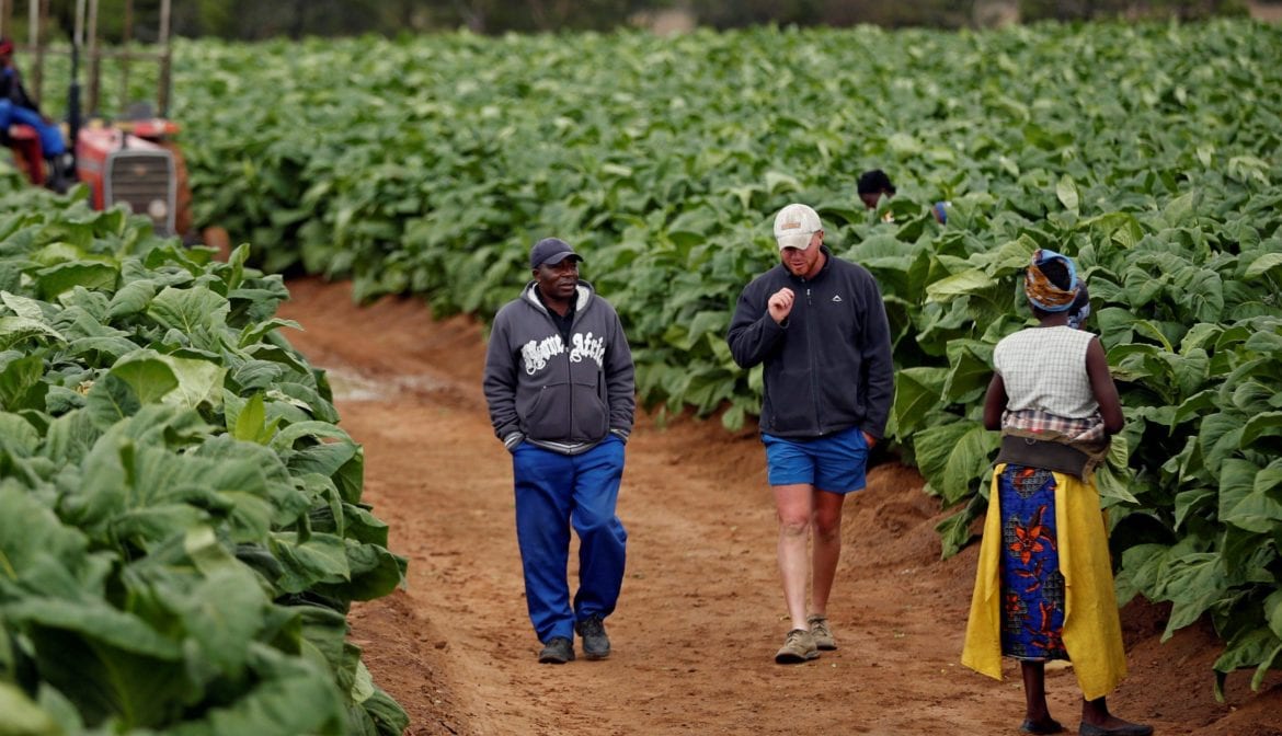 white farmer