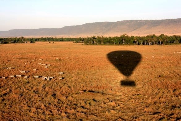 Africa safari mongolfiera