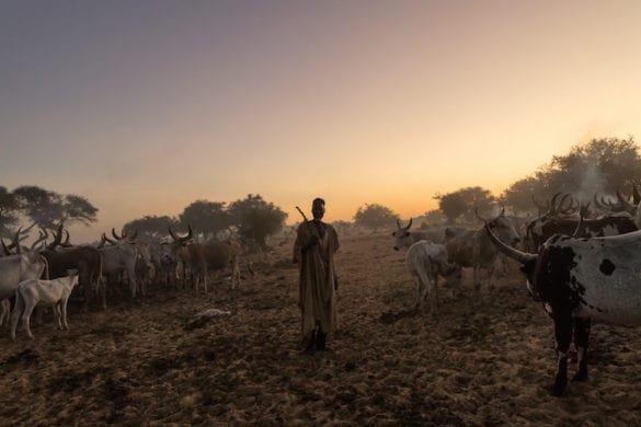 The world’s most complex humanitarian disaster: the Lake Chad crisis
