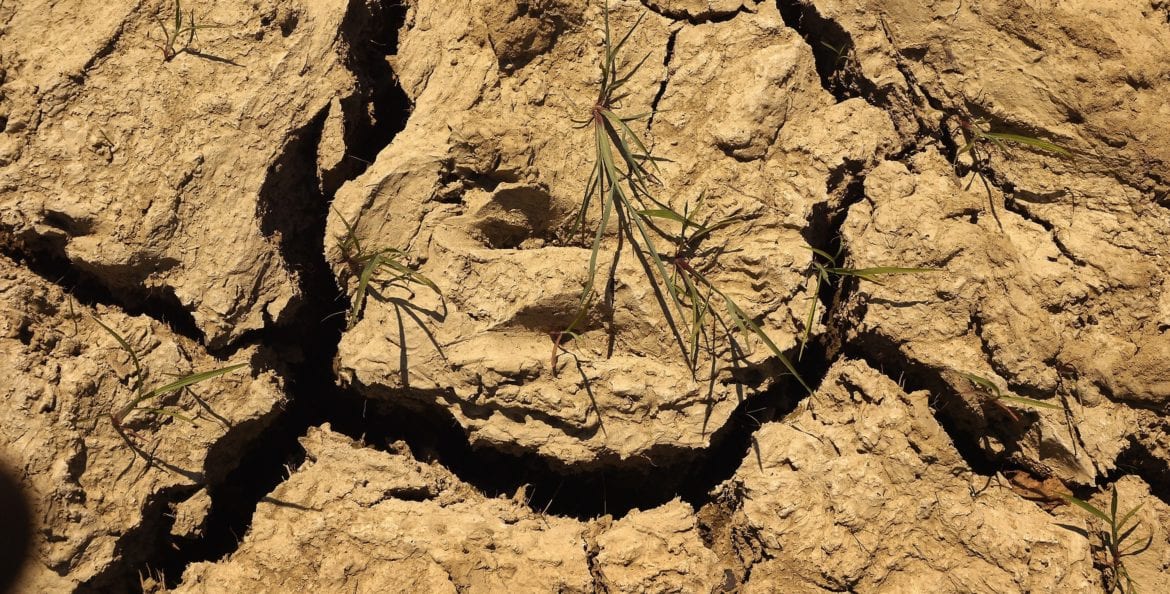 desertificazione