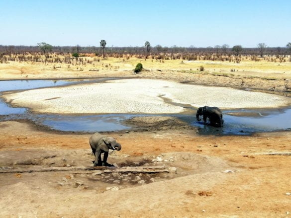 ZIMBABWE1_resize