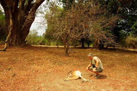 Zimbabwe_0816_resize