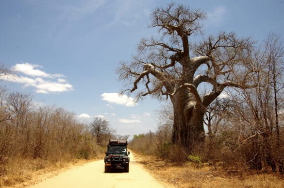 Zimbabwe_1095_resize
