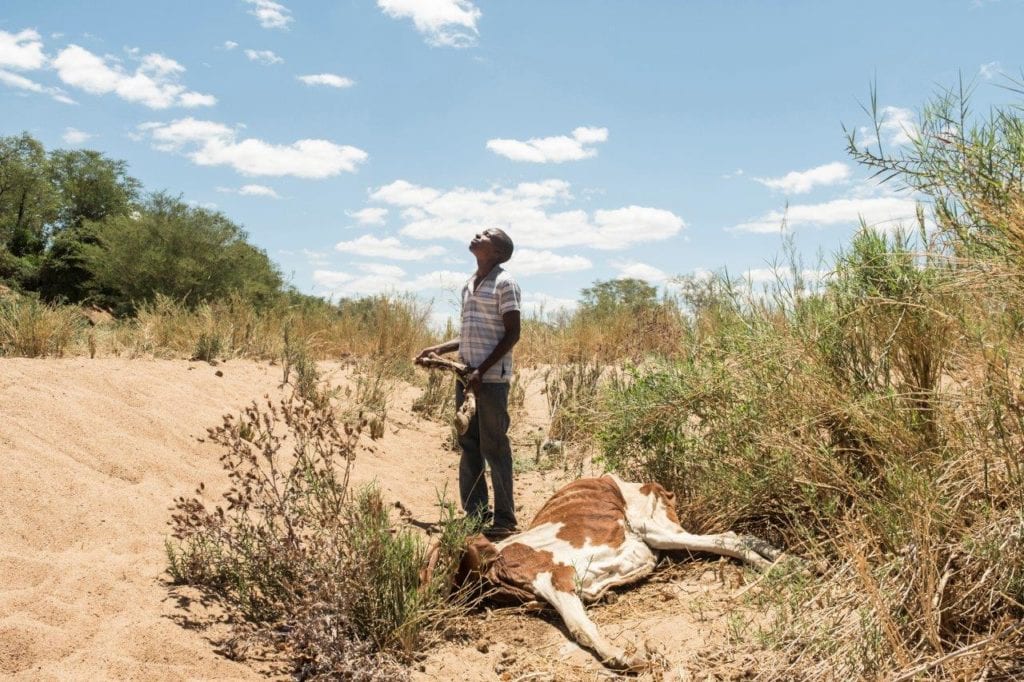 siccità in zimbabwe