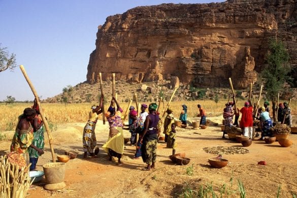Dogon 3
