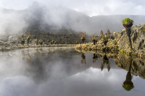 Monte Kenya 4