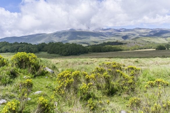 Monte Kenya 6