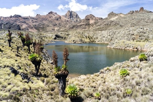 Monte Kenya 7