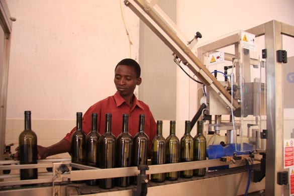 Imbottigliamento Cetawico