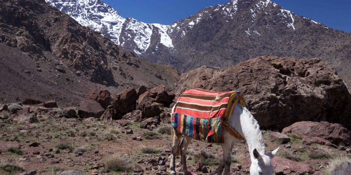 catena montuosa atlante