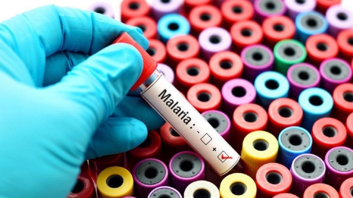 malaria