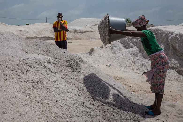 Raccoglitrice lago salato