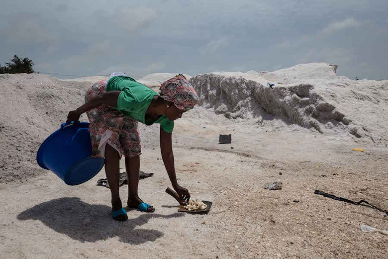 Raccoglitrice lago salato