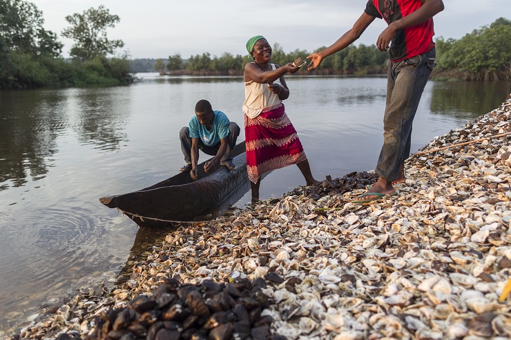 Vongole Congo