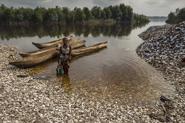 Vongole Congo 4