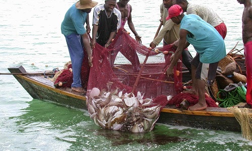 pesca in ghana